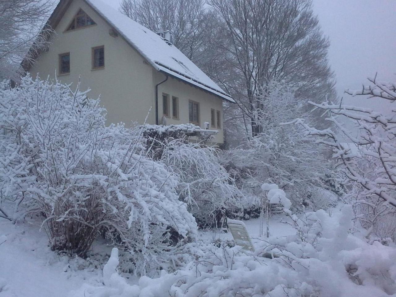 זול Ferienwohnung Ringbergblick מראה חיצוני תמונה